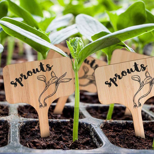 10 PCS T-type bamboo plant labels with a marker pen – Eco-friendly garden markers for herbs & flowers 🌿